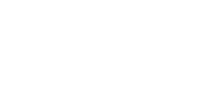 Lipovase Logo