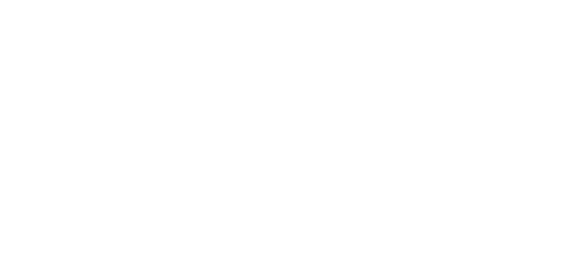 Lipovase Logo